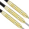 imageAccmor 12 Pack Steel Tip Darts24G Professional Metal Darts Set for DartboardGoldStyle B
