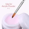 imageAccmor 3D Nail Art Brush for Acrylic Powder Acrylic Nail Art Design Brush Nail Art Tool Size  12
