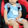 imageAccmor Car Seat Strap Pads for Baby Toddler Kids Car Seat Strap Covers Soft Car Seat Straps Shoulder Pads for All Baby Car Seats Stroller Pushchair High ChairGrey