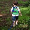 imageAccmor Toddler Backpack Harness with Safety Leash Cute Dinosaur Harnesses with Kids Anti Lost Wrist Link Mini Child Schoolbag with Wristband Tether Strap and Protection Leashes for Baby boys BlackDark BlueGreen Dinosaur