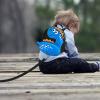 imageAccmor Toddler Backpack Harness with Safety Leash Cute Dinosaur Harnesses with Kids Anti Lost Wrist Link Mini Child Schoolbag with Wristband Tether Strap and Protection Leashes for Baby boys BlackBlackDark Blue Dinosaur