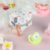 imageBaby Pacifier Case with Clip Baby Pacifier Holder Pouch Box for Diaper Bag Holds 2 Pacifiers for Travel Outdoor Activities Small Baby UtensilsGreen Leafcolorful stone