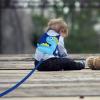 imageToddler Harness Leash with Anti Lost Wrist Link Accmor Cute Dinosaur Kids Harness Children Leash for Outdoor Travel Adorable Baby Anti Lost Leash Walking Wristband Assistant Strap Keep Babies CloseBlueBlue Spotted Brachiosaurus  Blue Link