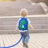 imageAccmor Toddler Backpack Leash Cute Dinosaur Kids Backpacks with Anti Lost Wrist Link Mini Child Bag Tether Baby Walking Harness Wristband Protection Rope for Boys Girls Aged 13 to Travel OutdoorBlueGreen Spotted Dino  Blue Link